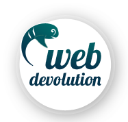 webdevolution logo